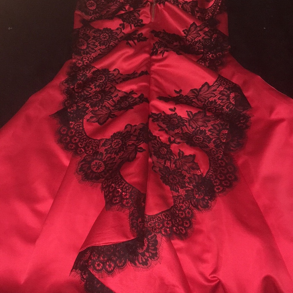 Prom Dress - Picture 3 of 3